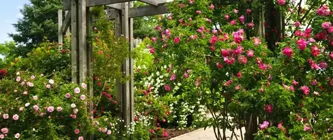 entretien de jardin Oucques La Nouvelle-1