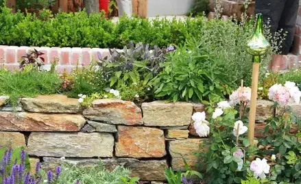 entretien de jardin Oucques La Nouvelle-2