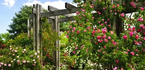 entretien de jardin Ouzouer-le-Marché-2
