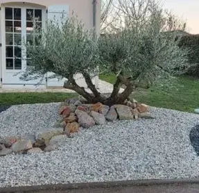 entretien de jardin Ouzouer-le-Marché-5