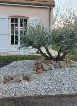 entretien de jardin Saint Saturnin-3