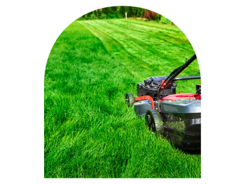 entretien de jardin saint saturnin