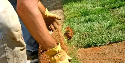 entretien de jardin Sargé-lès Le Mans-2