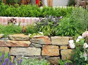 entretien de jardin Sargé-lès Le Mans-3