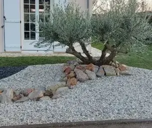 entretien de jardin Trangé-4