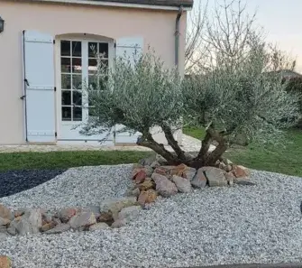 entretien de jardin Vendôme-1