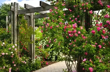jardinier La Bazoge-2