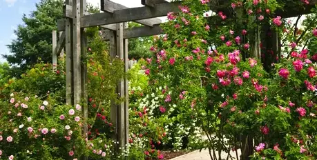 jardinier La Milesse-2