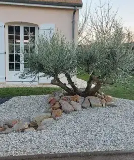 jardinier Saint Saturnin-4