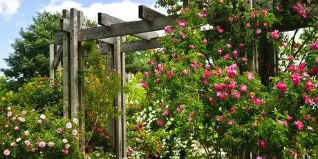 jardinier Sargé-lès Le Mans-1