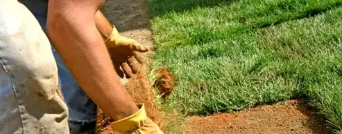 jardinier Sargé-lès Le Mans-5