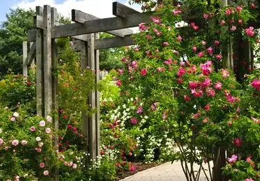 jardinier Trangé-1