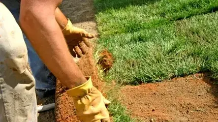 paysagiste La Milesse-3