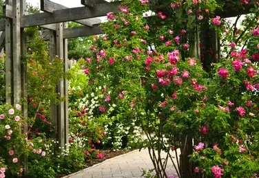 paysagiste La Milesse-4