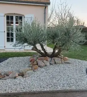 paysagiste Oucques La Nouvelle-1