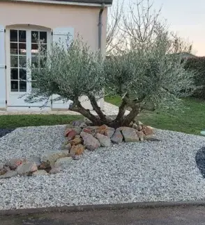 paysagiste Saint Saturnin-5