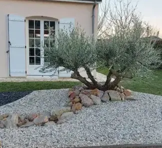 paysagiste Sargé-lès Le Mans-4