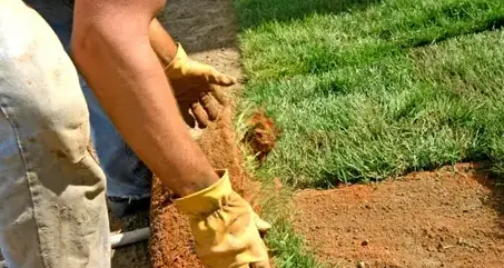 paysagiste Sargé-lès Le Mans-5