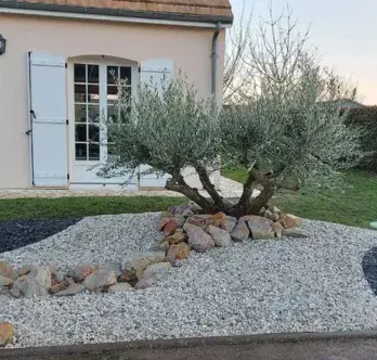 paysagiste Trangé-4