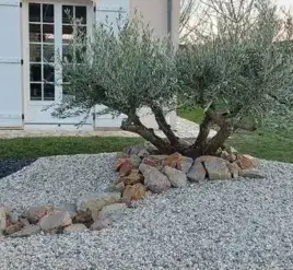 taille de haie La Bazoge-2