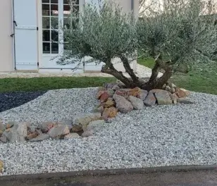 taille de haie La Milesse-3