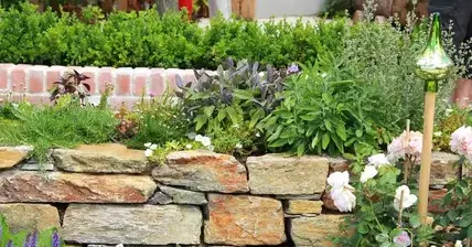 taille de haie La Milesse-5