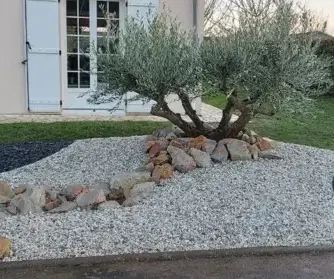 taille de haie Sargé-lès Le Mans-4