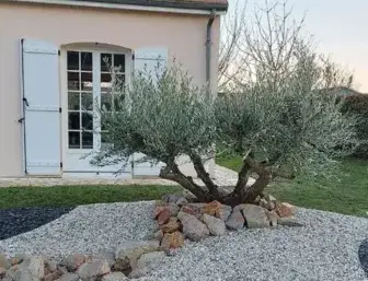 taille de haie Trangé-2