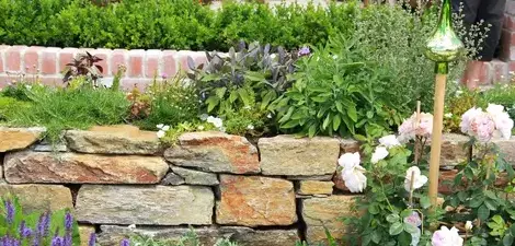 tonte de pelouse La Bazoge-2