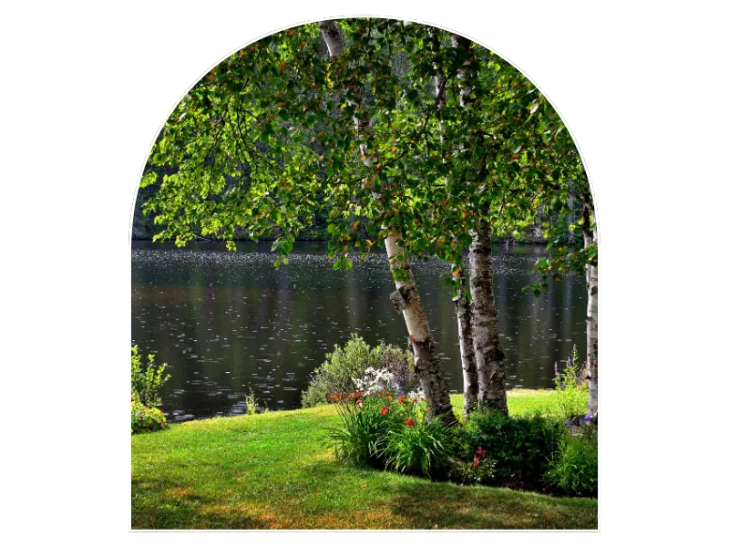 tonte de pelouse la bazoge