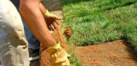 tonte de pelouse La Bazoge-3