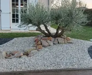 tonte de pelouse La Bazoge-5