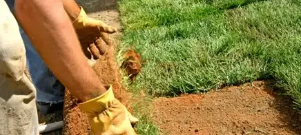 tonte de pelouse La guierche-2