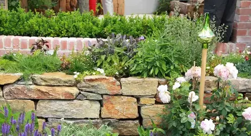 tonte de pelouse La guierche-3