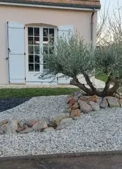 tonte de pelouse La guierche-4