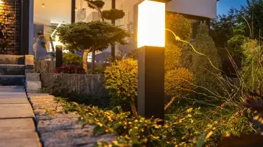 tonte de pelouse La guierche-5