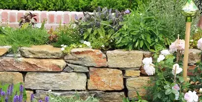 tonte de pelouse La Milesse-2