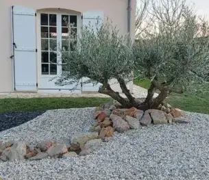 tonte de pelouse Le Mans-1