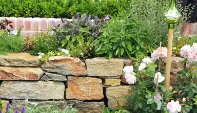 tonte de pelouse Le Mans-4