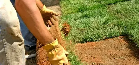 tonte de pelouse Le Mans-5