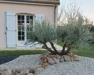 tonte de pelouse Neuville sur Sarthe-1