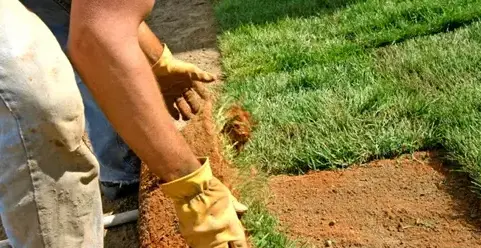 tonte de pelouse Neuville sur Sarthe-3