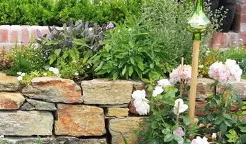 tonte de pelouse Neuville sur Sarthe-4