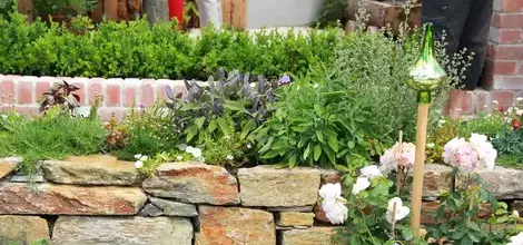 tonte de pelouse Saint Saturnin-1