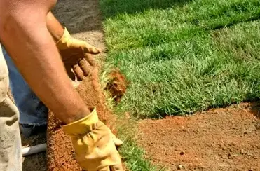 tonte de pelouse Saint Saturnin-3