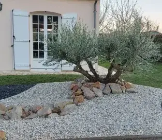 tonte de pelouse Saint Saturnin-5