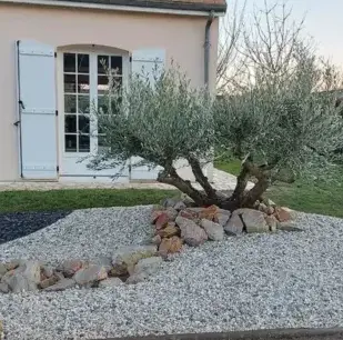 tonte de pelouse Sargé-lès Le Mans-2