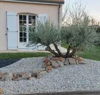 tonte de pelouse Trangé-1