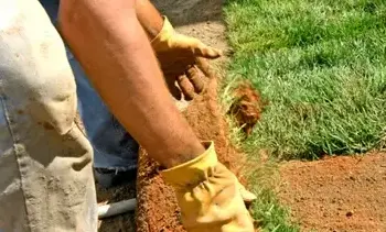 tonte de pelouse Trangé-2