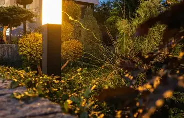 tonte de pelouse Trangé-3